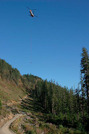 056243_vertol107_+HF_cfhfv_20040730_strathconapark_e241_IMG_4595v