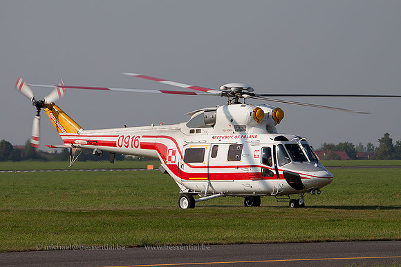 Rdm_4616