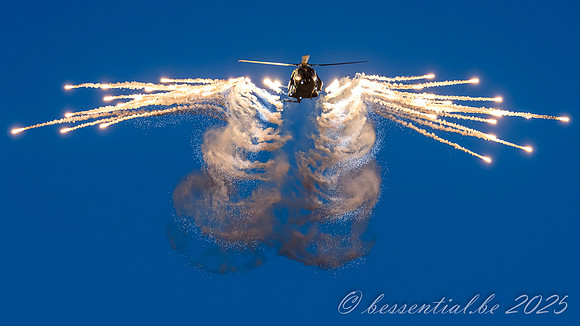 20250823_Roskilde_0288