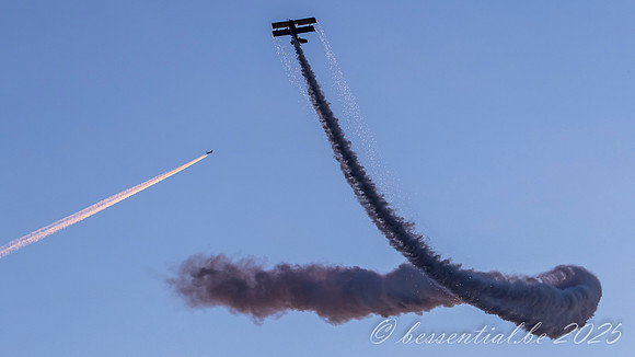 20250823_Roskilde_0385