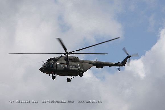 Zhuk_1357.jpg
