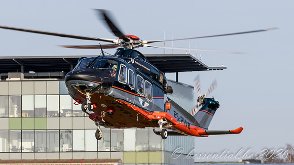 20260120_LGG_5255