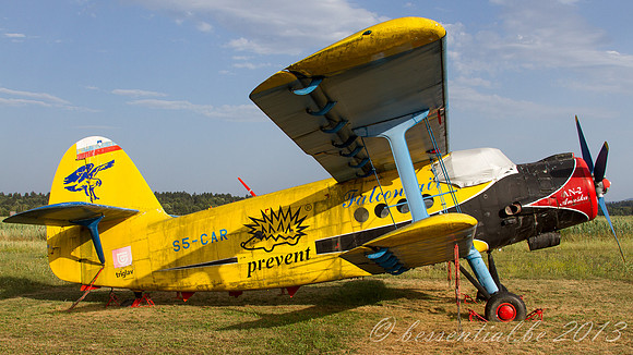 20130808_Lesce_4207