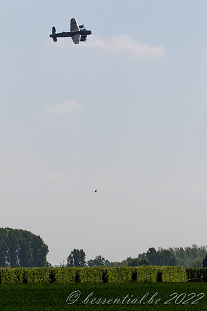 20220504_Alken_7160