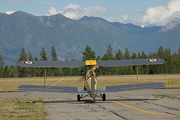 056953_dh82ctigermoth_-_cfcor_20040808_cranbrook_e289_IMG_6838