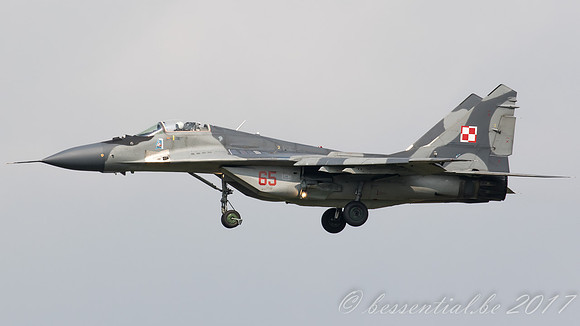 MMa_3026