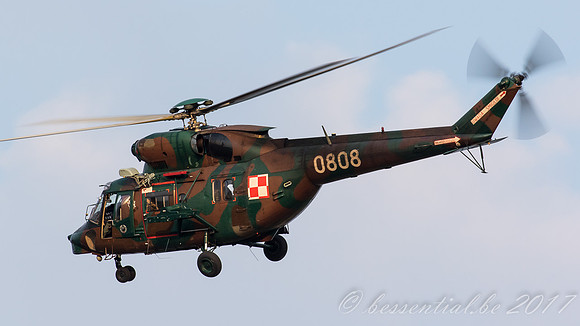 RDM_0981