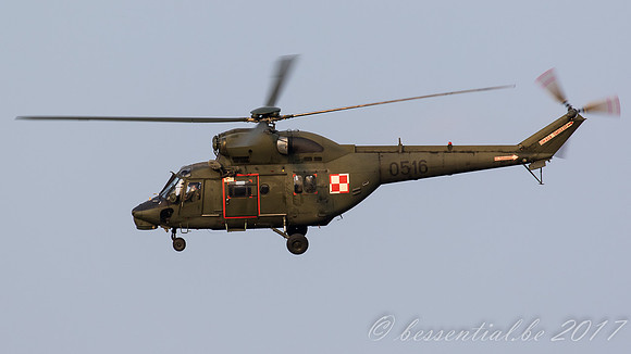 RDM_1008