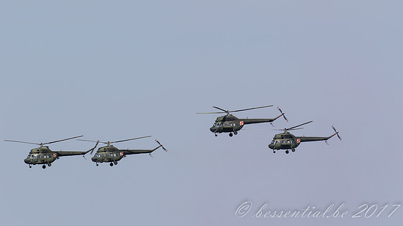 RDM_9683