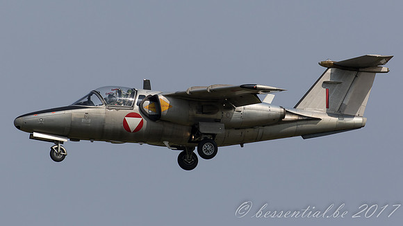 RDM_9376