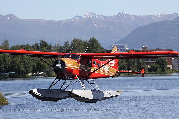 ANC_8604