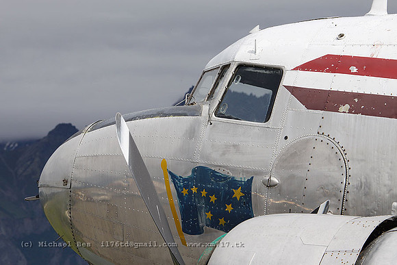Pal_0239