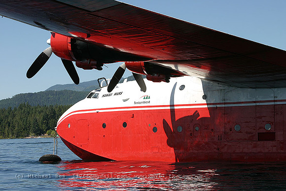 056246_martinmars_+FT_cflyl_20040731_sproatlake_e241_IMG_4708