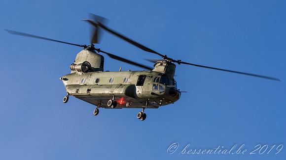 20190225_EIN_GLV5_8210
