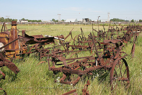20040810_Wetaskiwin_agriculturalmachines_IMG_7228