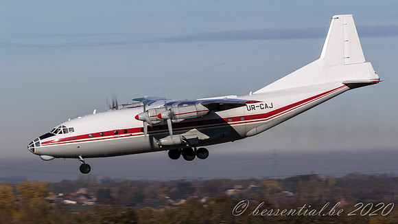 20201106_LGG_6676