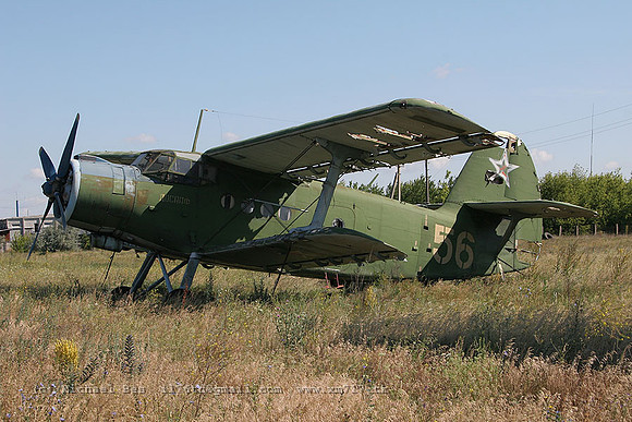 073658_an2_UR_56ye_20070709_zaporizhzhyashirokoye_IMG_5021