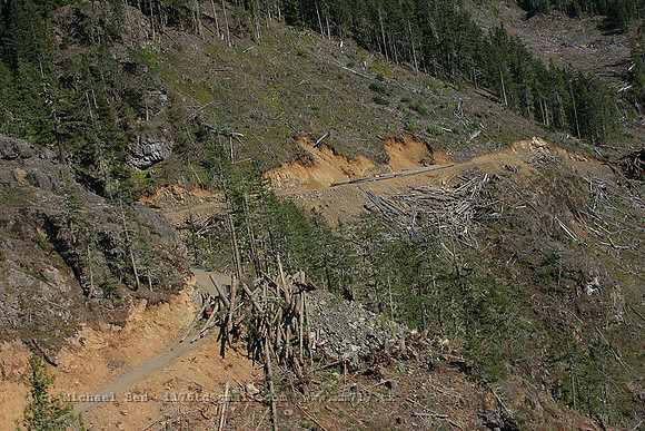 20040730_StrathconaPark_IMG_4561