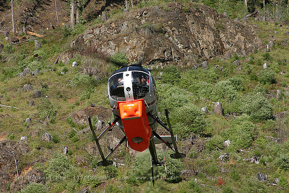 056241_md500d_+HF_cgtzr_20040730_strathconapark_e240_IMG_4587
