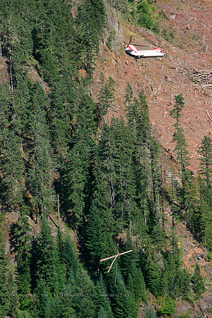 056235_vertol107_+HF_cfhfv_20040730_strathconapark_e239_IMG_4523v