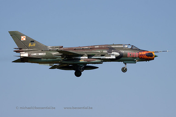 RMm_4168
