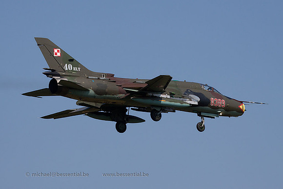RMm_4262