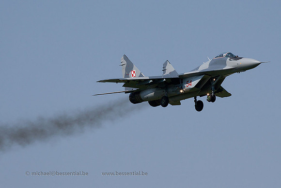 RMm_4004