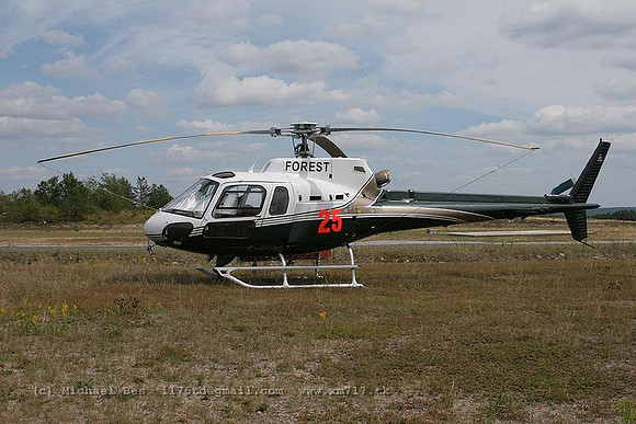 068873_ecureuil_+OF_cfors_20060726_kenora(on)_IMG_2625