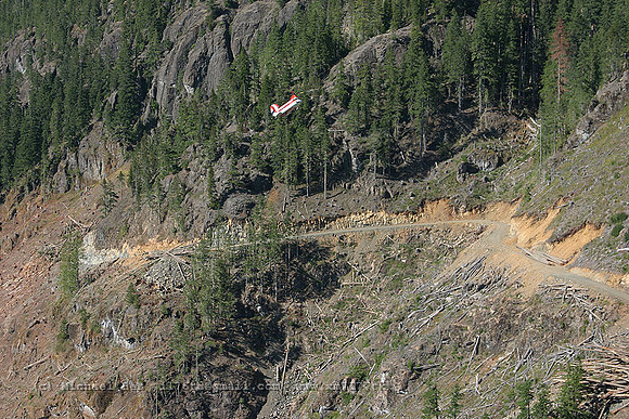 056235_vertol107_+HF_cfhfv_20040730_strathconapark_e239_IMG_4552