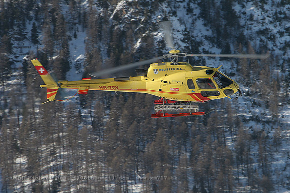 071682_ecureuil_HEB_hbzdy_20070105_samedan_IMG_4427