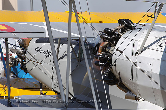 CVi_5167.jpg