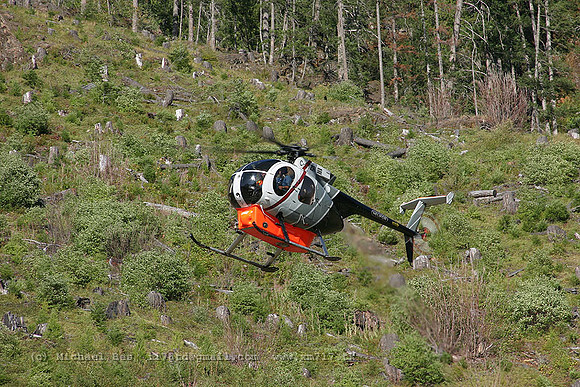 056241_md500d_+HF_cgtzr_20040730_strathconapark_e240_IMG_4586