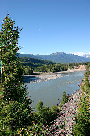 20040727_60km_N_of_Terrace_river_IMG_4028v