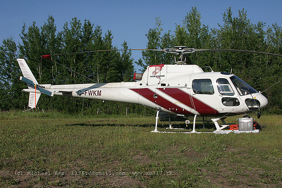 055831_ecureuil_+AE_cfwkm_20040721_highlevel_e200_IMG_2965