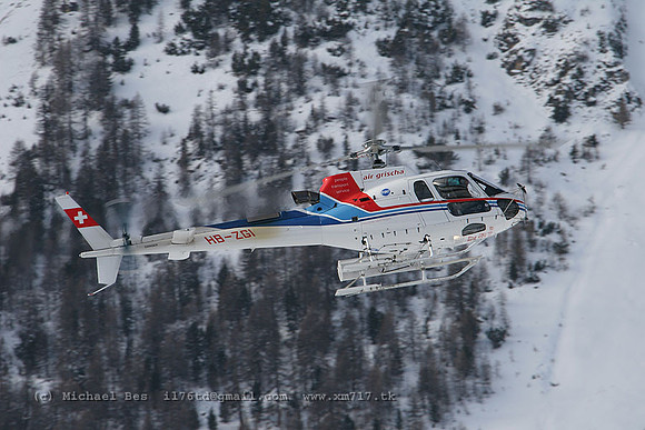 071696_ecureuil_+GA_hbzgi_20070105_samedan_IMG_4550