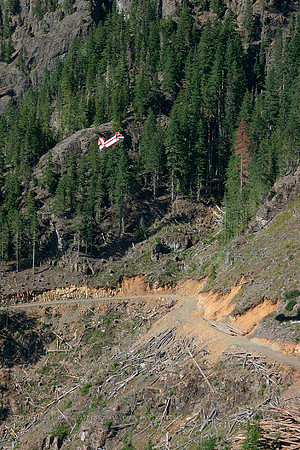 056235_vertol107_+HF_cfhfv_20040730_strathconapark_e239_IMG_4553