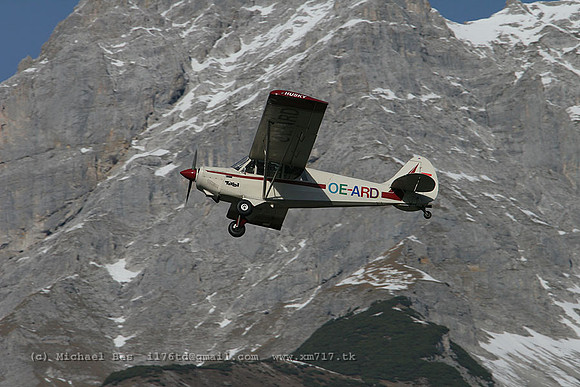 071444_husky_-_oeard_20061230_innsbruck_IMG_1419