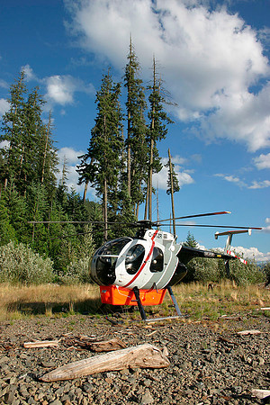 056183_md500d_+HF_cgtzr_20040729_strathconapark_e234_IMG_4325v