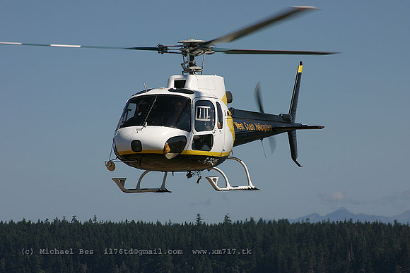 056218_ecureuil_+8O_cfswh_20040730_campbellriverspb_e237_IMG_4462
