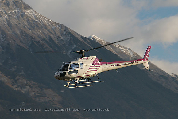 071488_ecureuil_-_dhram_20061231_innsbruck_IMG_1799
