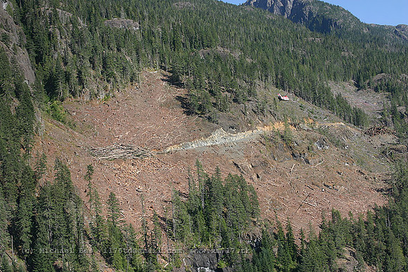 056235_vertol107_+HF_cfhfv_20040730_strathconapark_e239_IMG_4525