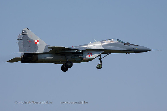 RMm_4075