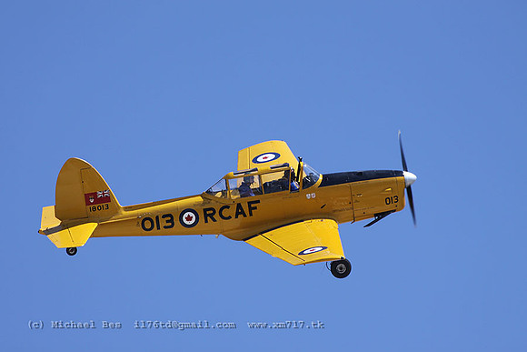 CVi_5313.jpg