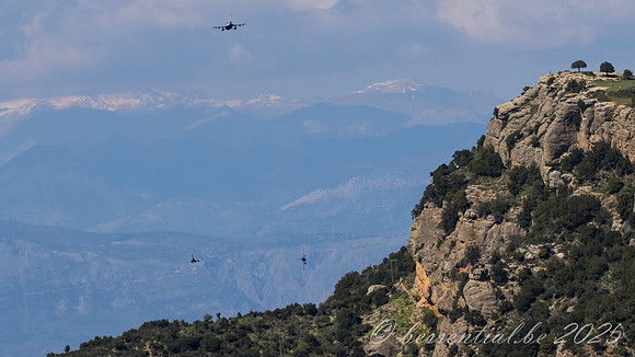 20250411_Vouraikos_Gorge_6806